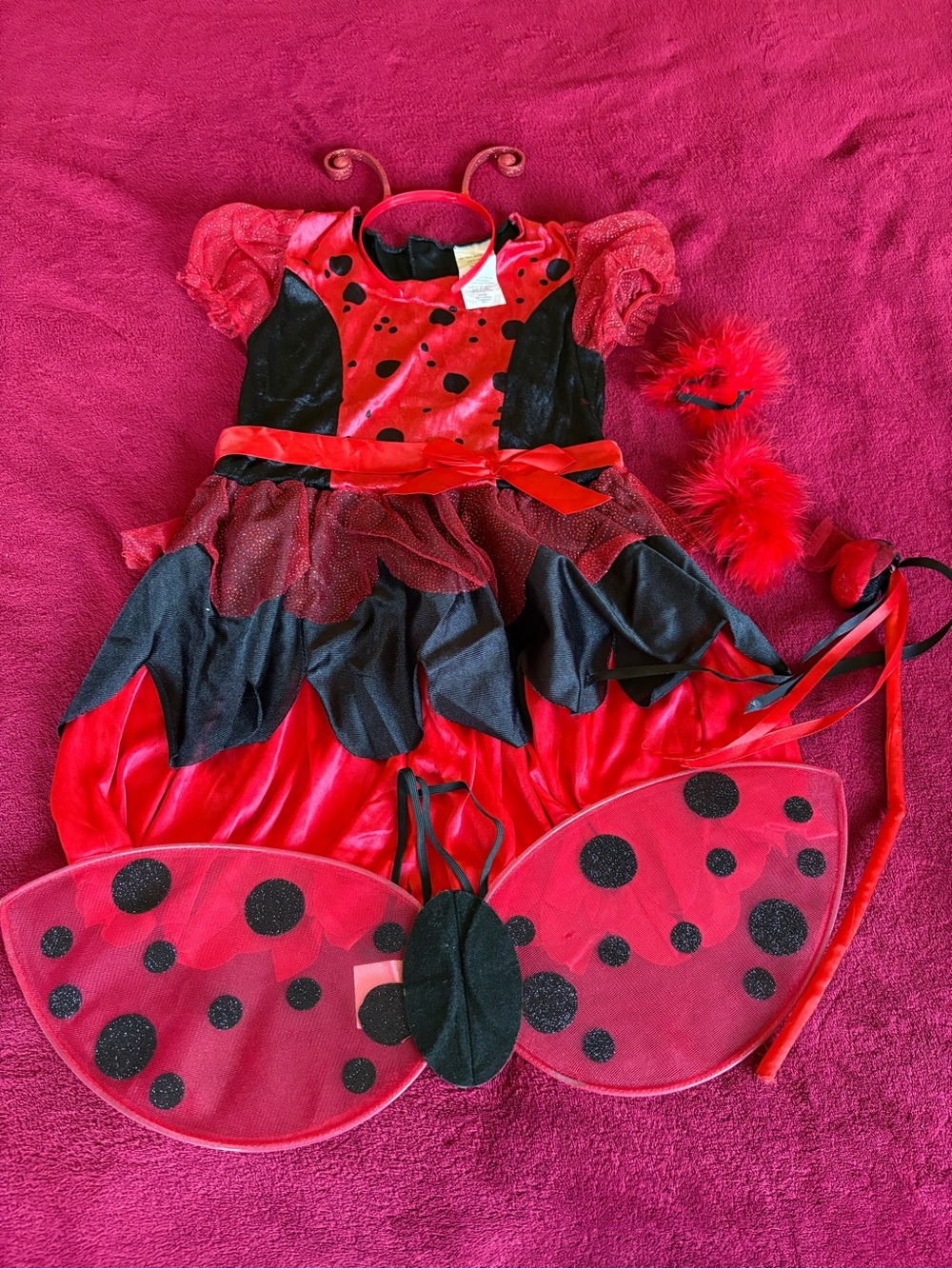 Girls Red and Black Ladybug Costume Dress with Wings